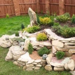 Категория: Для альпийской горки