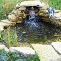 Категория: Для пруда