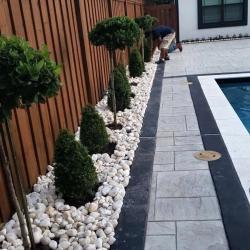 Фотогалерея: 