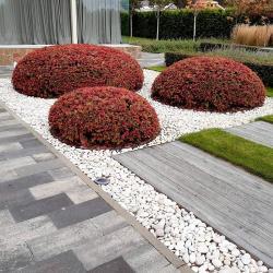 Фотогалерея: Галька "Шампиньон"