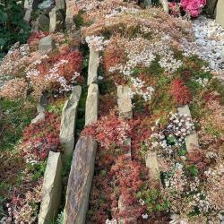 Фотогалерея: Плиты из плитняка "Ростовского"