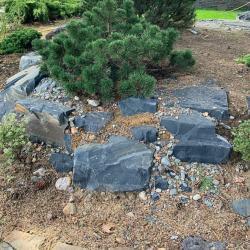 Фотогалерея: Альпинарий с использованием глыб "Шунгита"