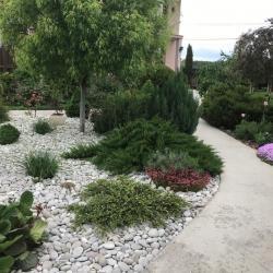 Фотогалерея: Галька "Шампиньон"