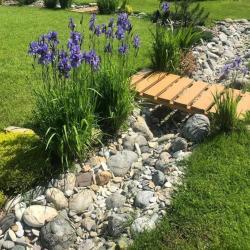 Фотогалерея: Сухой ручей