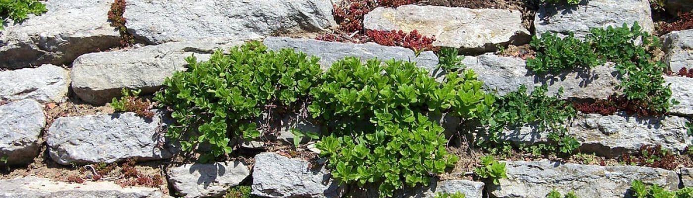 Подпорная стена